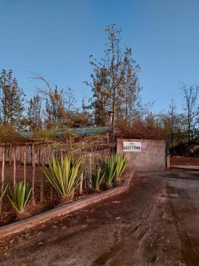מלון Elmenteita Lillypond Camp מראה חיצוני תמונה