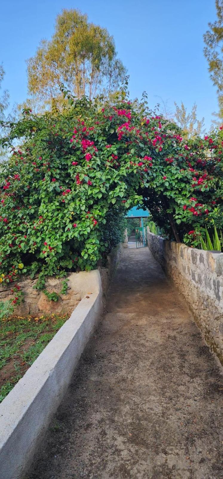 מלון Elmenteita Lillypond Camp מראה חיצוני תמונה